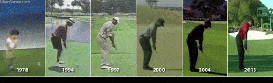Tiger Woods Golfswing